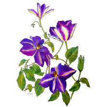 Load image into Gallery viewer, Beautifully Handpainted Clematis Floral Silk Scarf/Wrap