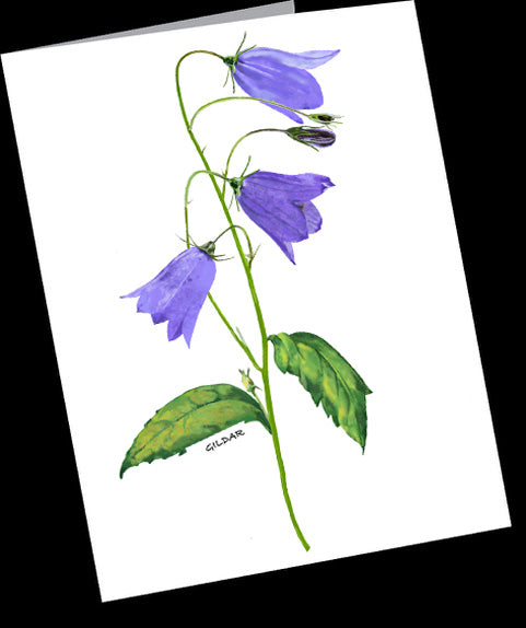 Bluebells Small Notecard Pack (4.25” x 5.5”)