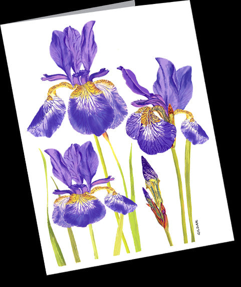 Irises Small Notecard Pack (4.25” x 5.5”)