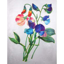 Load image into Gallery viewer, Exquisite Handpainted Fuschia and Sweet Pea Floral Silk Scarf/Wrap
