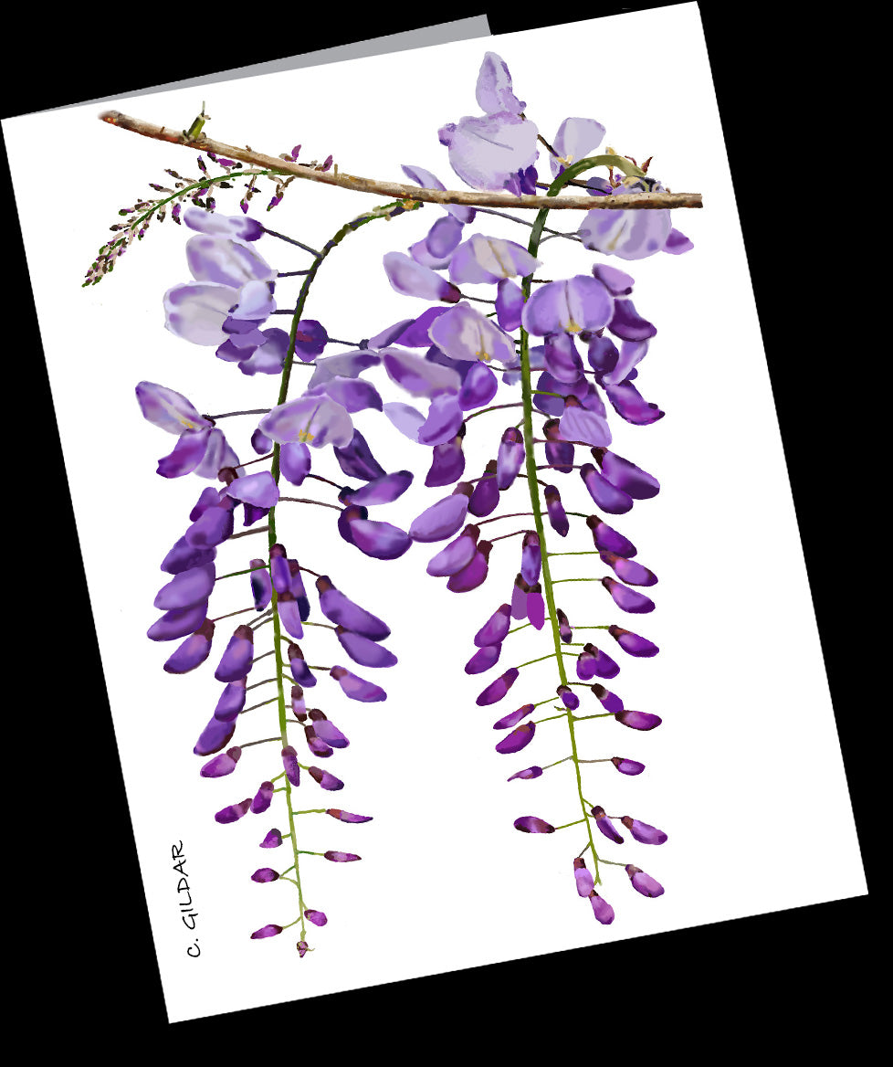Wisteria 10 Small Notecard Pack (4.25” x 5.5”)