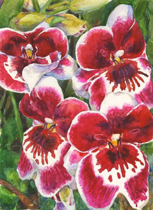 Red Orchids Pastel with Watercolor