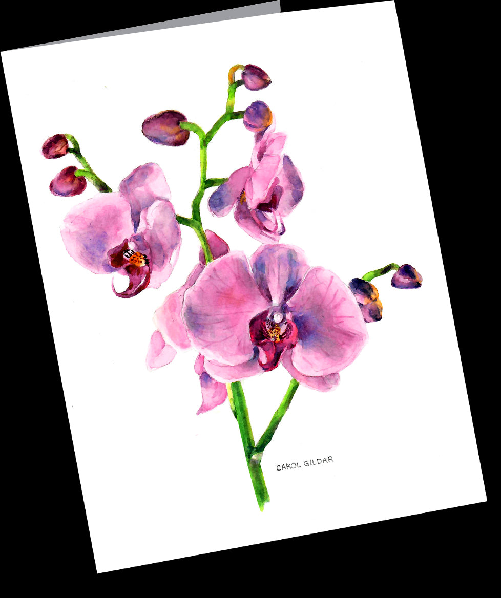 Pink Orchid Nature 5-card Pack (size 5” x 6.5”)