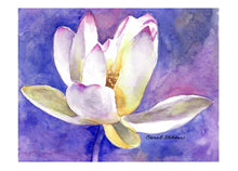 Load image into Gallery viewer, Sacred Lotus 5-Card Pack (size 5" by 6.5")

